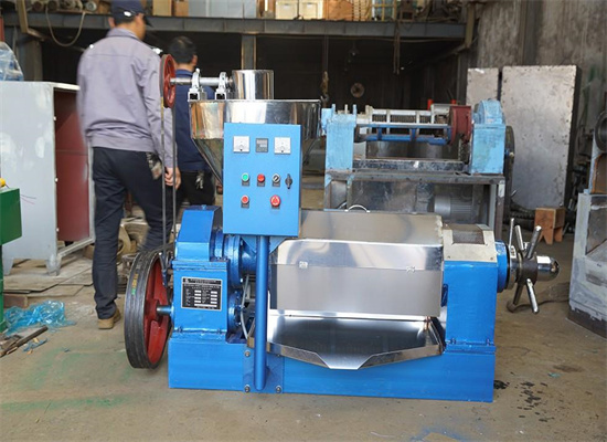 Edible Vegetable Seed Oil Expeller in Egypt