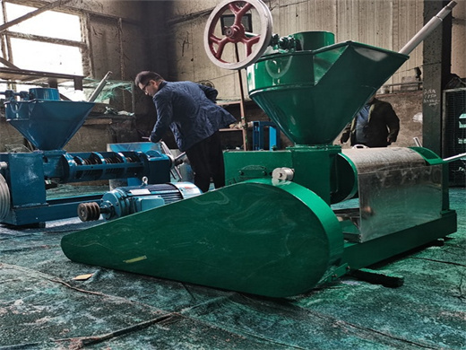 Coconut Oil Press Machine Cooking Oil in Cameroon