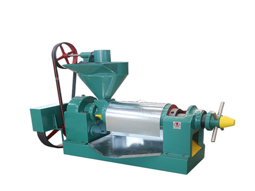 Big Cottonseed Oil Press Machine in Niger