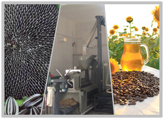 Good Weight Of Soybean Oil Machine in Egypt