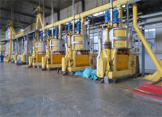 New Type Flaxseed Oil Seed Press Machine in Niger