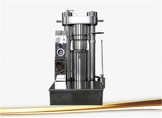 300-500Kg Per Hour Rice Bran Groundnut Oil Machine in Mozambique