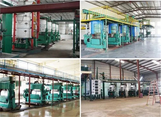 Shea Oil Expeller Machine Screw Oil Press in Egypt