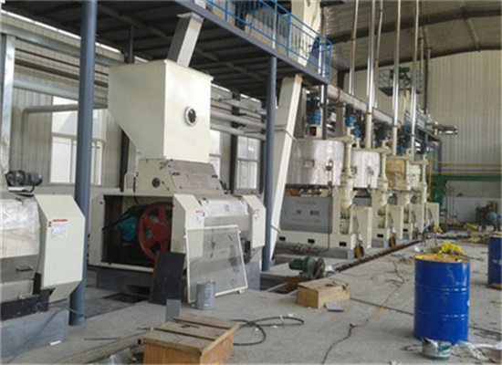 High Efficient Black Seed Oil Extraction Machine in Algeria