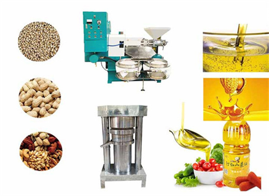 Best Price Dill Seed Oil Extraction Machine Hot Press in Gambia