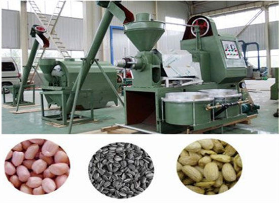 Hydraulic Flaxseed Oil Press Equipment 380V in Mali