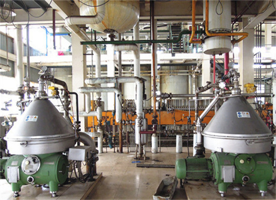 Sunflower Pine Nut Hydraulic Oil Processing Plant in Egypt