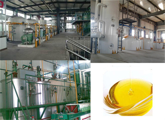 Mustard Seeds Oil Extraction Machines in Mozambique