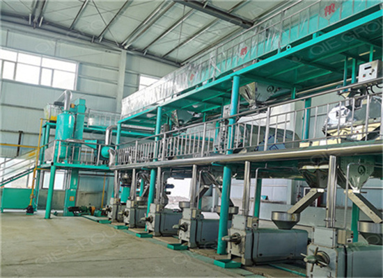 Manufacturer Automatic Screw Seed Oil Press Machine in Niger