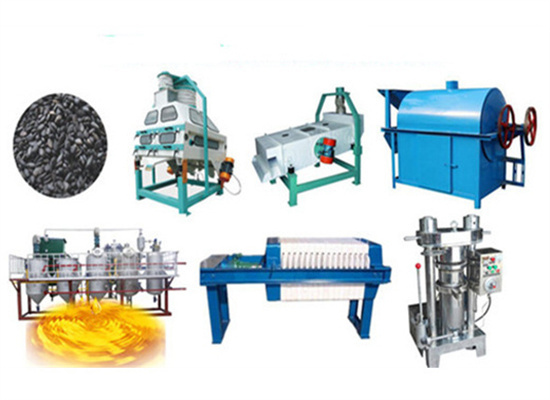 Factory Sale Walnut Oil Press Machine With Oil Filter in Algeria