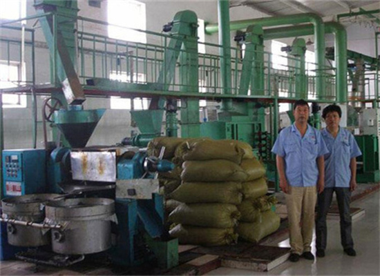 Chinese Supplier Groundnut Oil Extracting Machine in Sudan