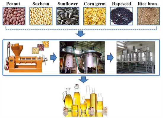 Palm Oil Refined Equipment Manufacturer in South Africa