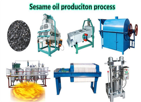 Castor Seed Oil Expeller Press Machine in Rwanda