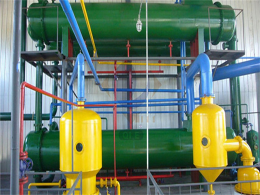 Automatic Hazelnut Oil Extraction Machine in Guinea