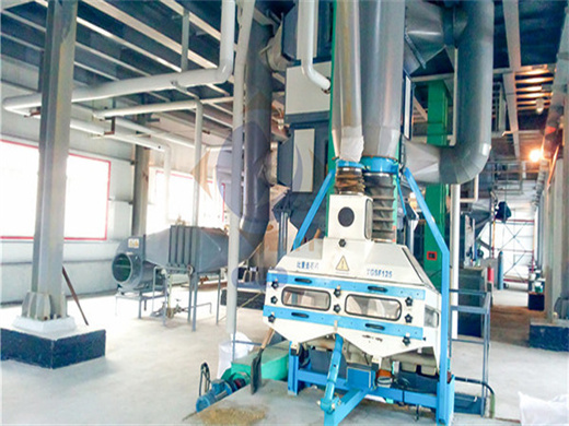 Factory Small Scale Edible Oil Refinery Machine in Mozambique