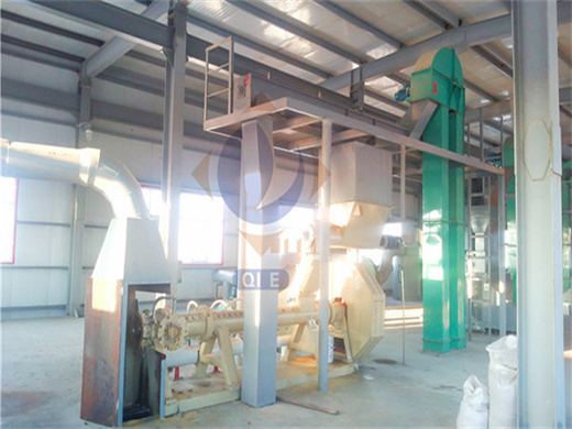 New Condition Seed Oil Extraction Machine in Gabon