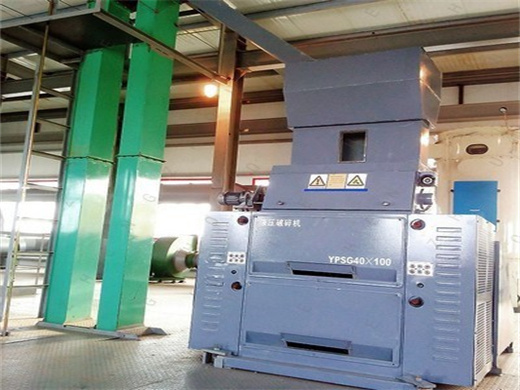 Tea Seed Oil Refinery Making Machine Cost in Sudan