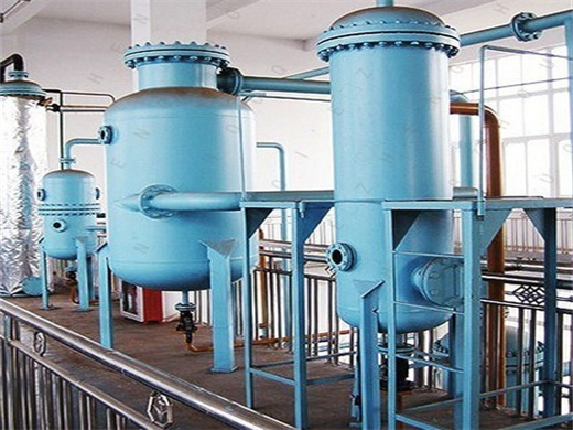 Scale Moringa Seed Oil Extraction Machine in Congo