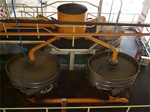 Oil Seeds Oil Press Complete Production Line in Uganda