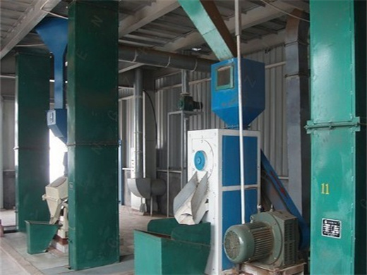 10Tpd Se-Automatic Mini Oil Refining Plant in Mali