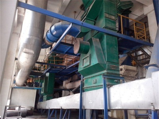 100Tpd Soybean Oil Process Extractor in Algeria