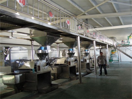 Cheaper Price Coconut Oil Screw Press Machine in Senegal