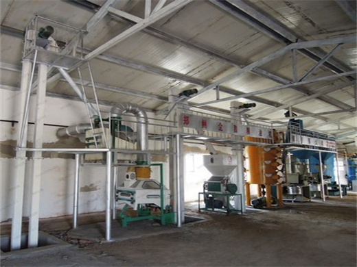 Tea Seed Oil Refined Making Equipment in Burundi