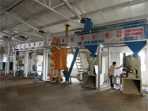 Two Shaft Peanut Oil Extruder Machine in Namibia