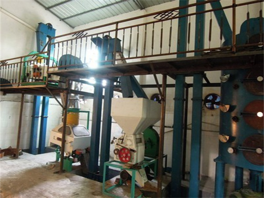 Cold Press Corn Mustard Oil Expeller Machine in Egypt