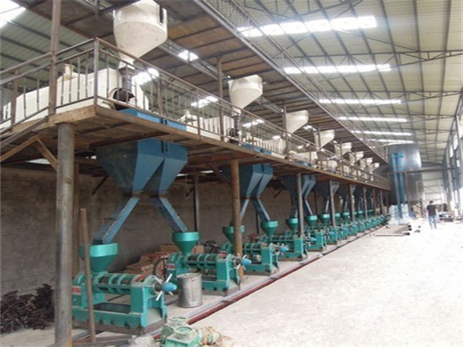 Best Seller Coconut Oil Filter Press in Gambia