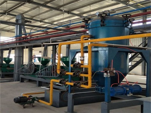 New Type Full-Function Automatic Seed Oil Expeller in Tunisia