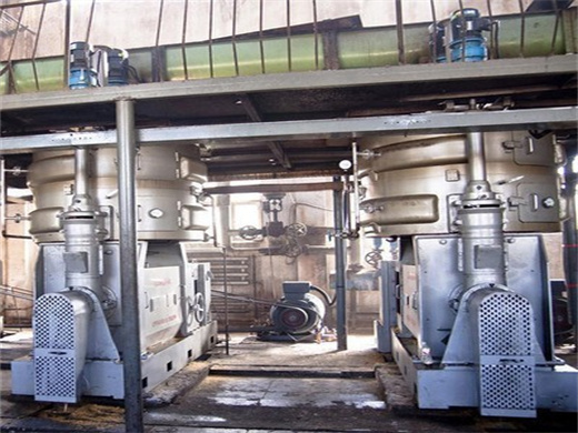 Build Made Shea Nut Oil Cold Press Machine in Egypt