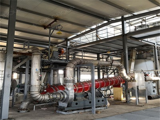 Hot Sale Palm Kernel Oil Processing Plant in Zimbabwe