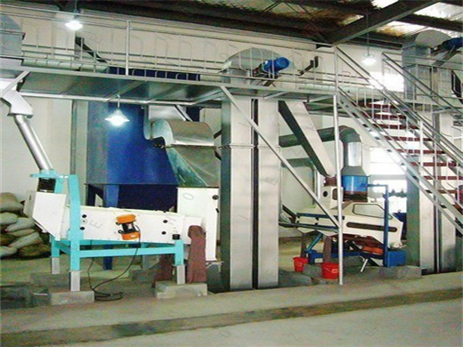 Organic Peanut Seed Oil Machine in Cameroon