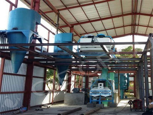 Price Coconut Oil Seed Press Machine Price in Guinea