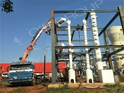 Various Grain Seed Mini Palm Oil Press Machine in Cameroon