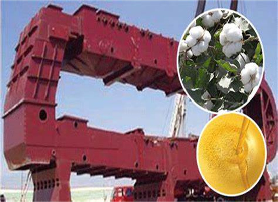 Hot Sell Plam Seeds Oil Processing Plant With in Morocco