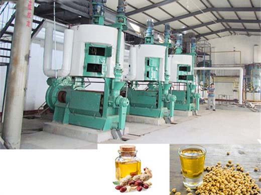 Mini Oil Extracting Machine in Cameroon