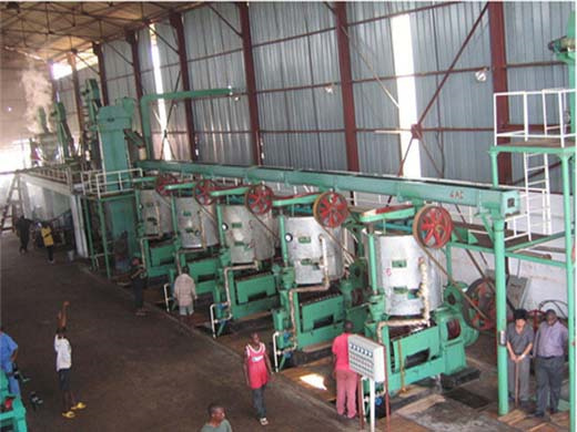 Black Sesame Peanut Oil Extractor Machine Lavender in Benin