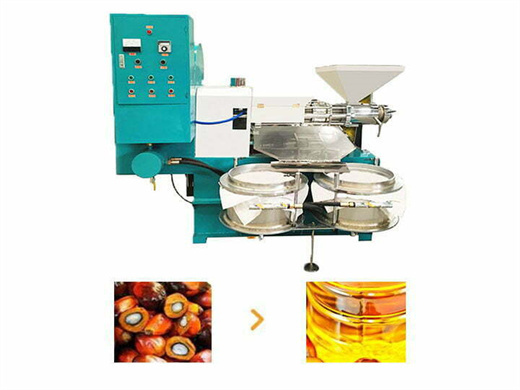 Coconut Oil Filling Machine in Angola