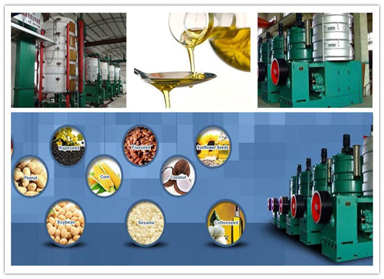 Tinytech Cold Camelina Baobab Oil Extraction Machine in Tunisia