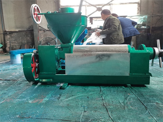 Oil Extraction Machine Pumpkin Seed Oil Press in Cameroon