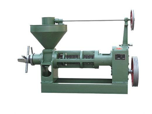 Professional Manufacture Seed Oil Press Machines in Congo