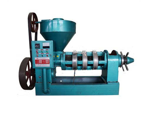 Reasonable Price For Machine For Walnuts Oil Press in Cameroon