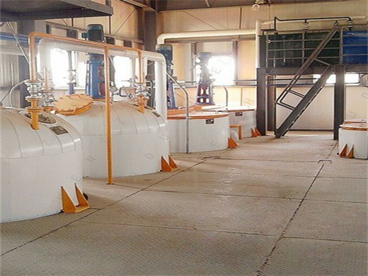 Easy Operation Soya Bean Processin Equipment in Niger