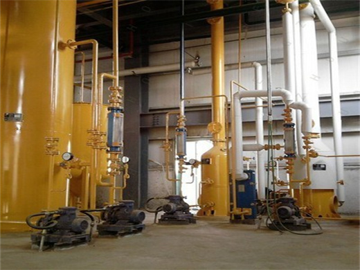 With International Standard Soybean Oil Refinery in Egypt