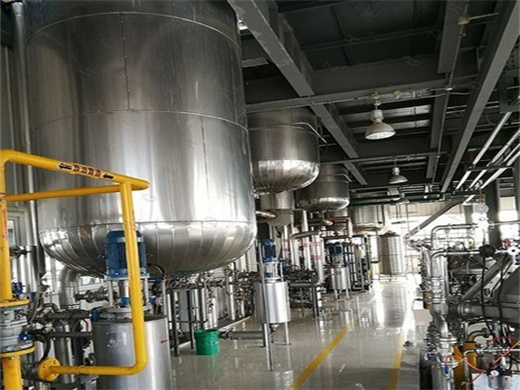 Latest Type Hot Sales Coconut Oil Production Line in Ethiopia