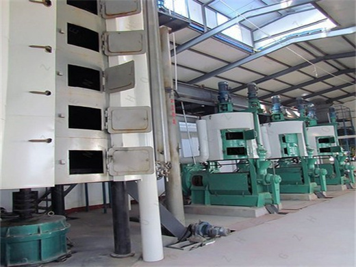 New Elephants Screw Oil Press Machine in Morocco