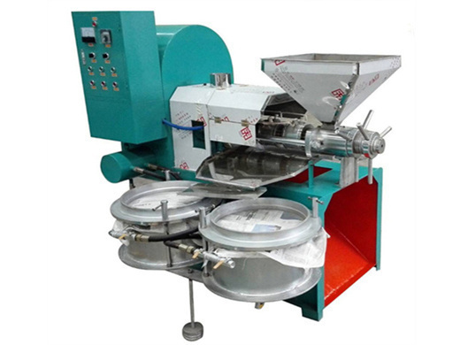 Professional Groundnut Oil Machine In Chenn in Botswana