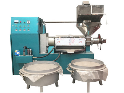 Produce Palm Oil Refining Machine in Tanzania